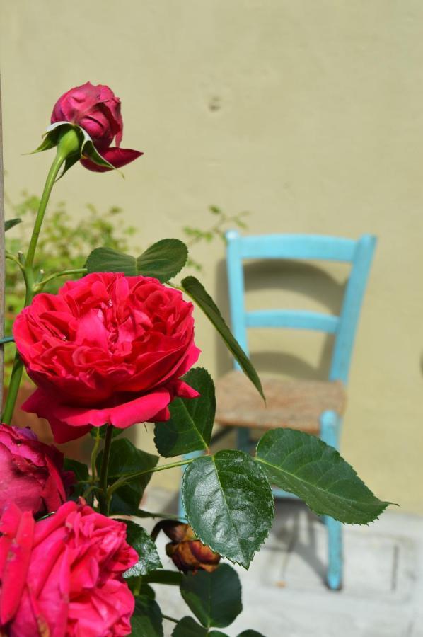 B&B Lady Cocca Savio di Ravenna Exteriör bild