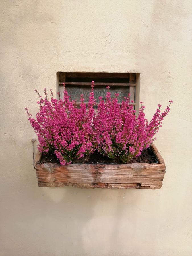 B&B Lady Cocca Savio di Ravenna Exteriör bild