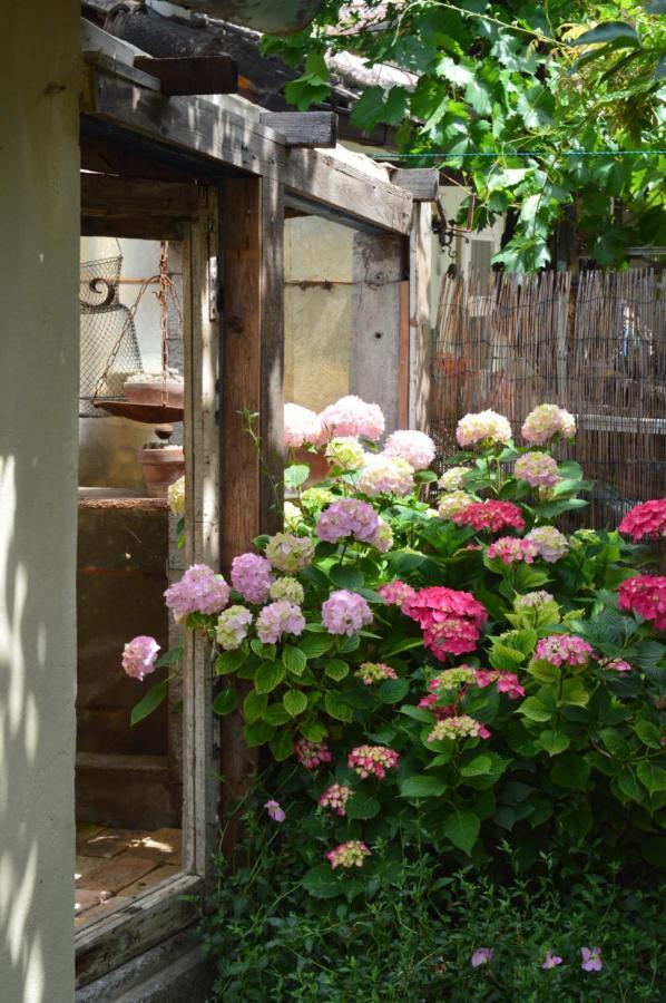B&B Lady Cocca Savio di Ravenna Exteriör bild