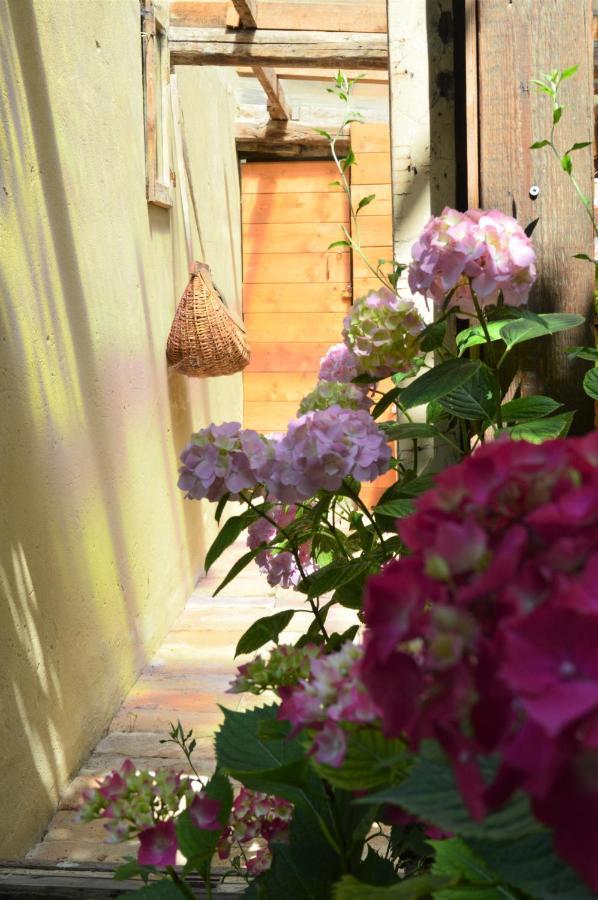 B&B Lady Cocca Savio di Ravenna Exteriör bild